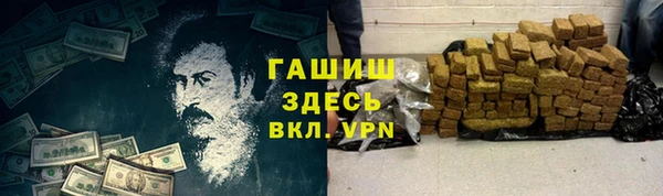 хмурый Аркадак