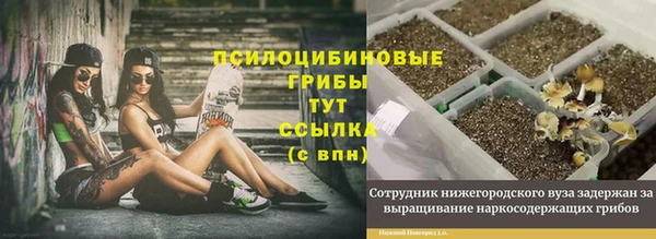 2c-b Арсеньев